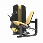 machine de musculation leg extension authentique