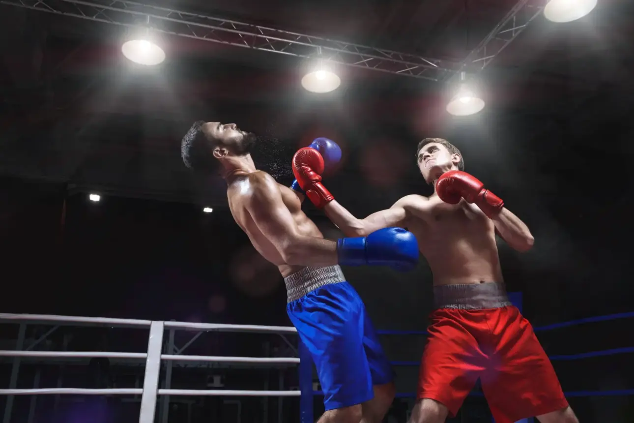 Expert guides on professional fitness equipment