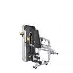 Triceps Dips Power line