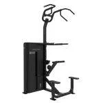 Weight Assisted Chin-Dip Forza Bodytone FB13