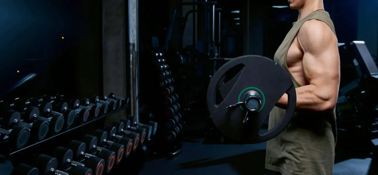 Expert guides on professional fitness equipment
