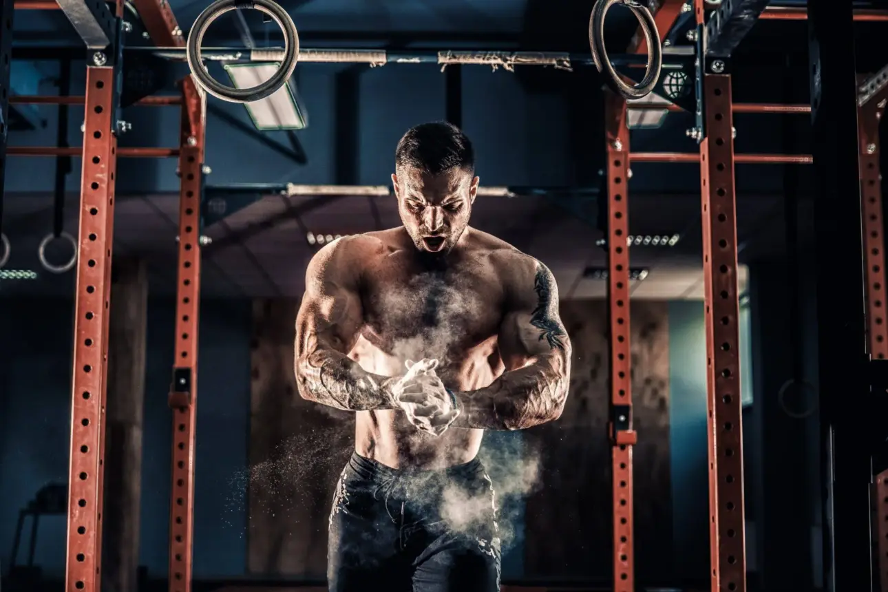 Expert guides on professional fitness equipment