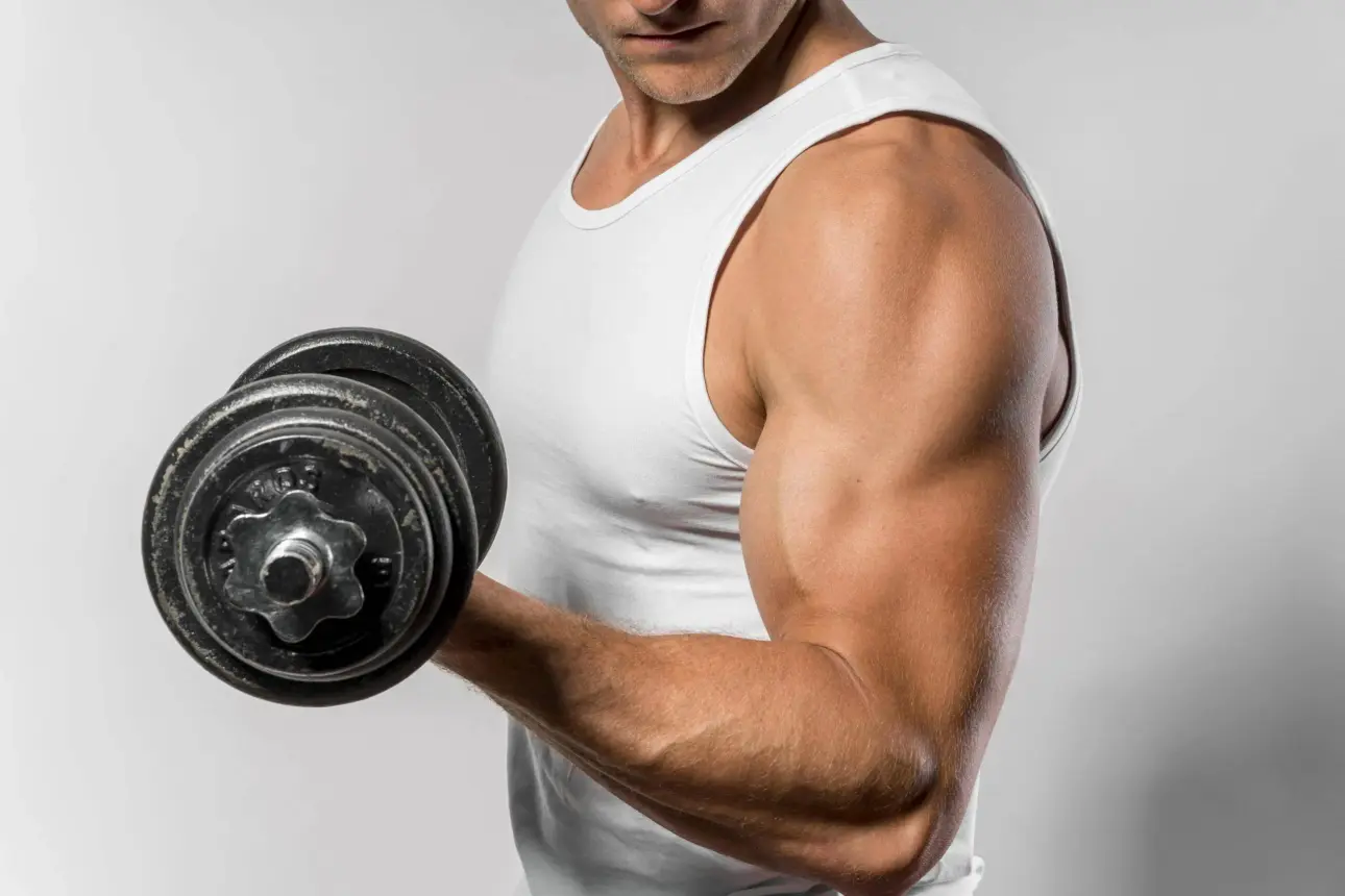 Expert guides on professional fitness equipment