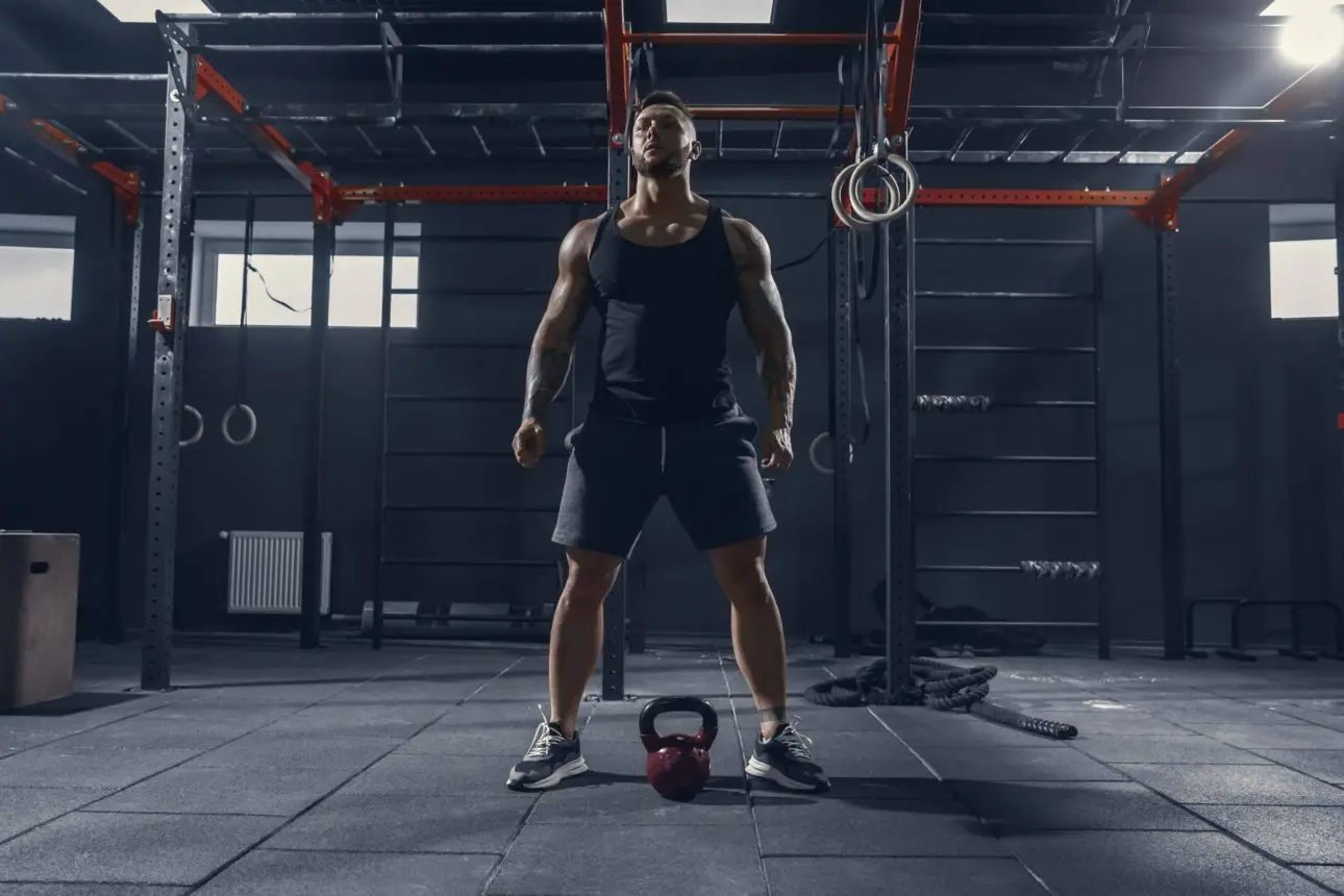 Expert guides on professional fitness equipment