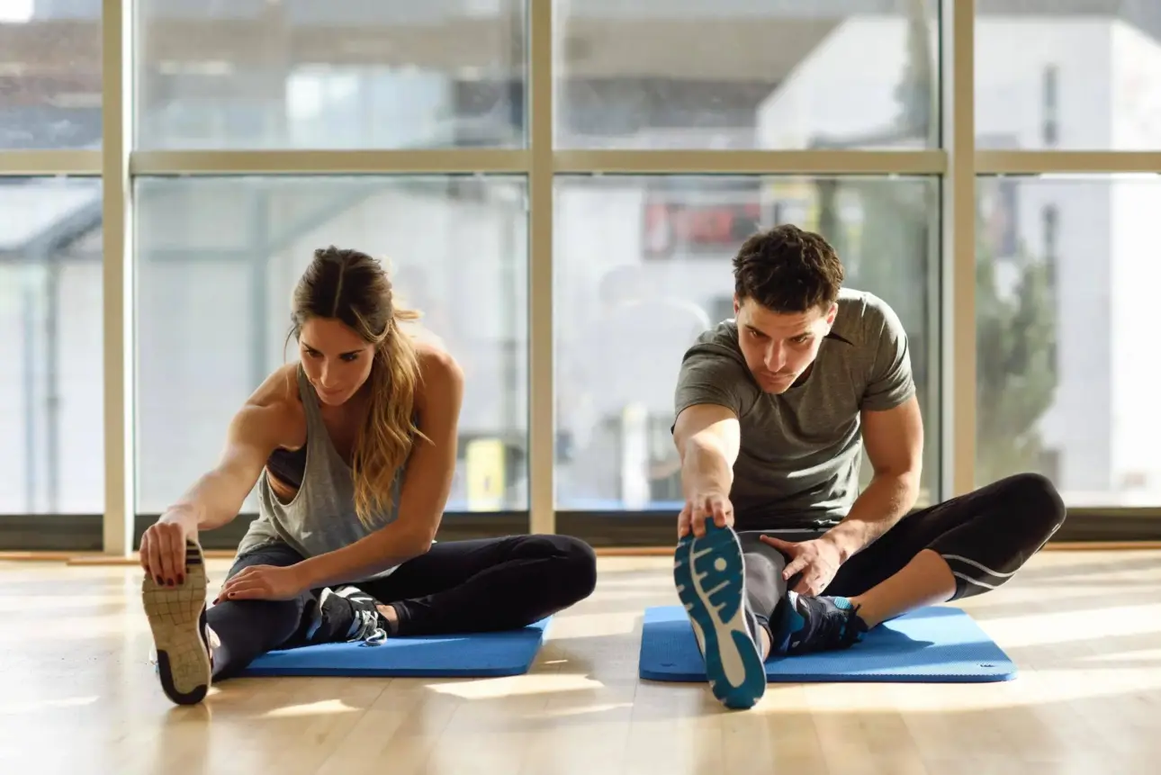 Expert guides on professional fitness equipment