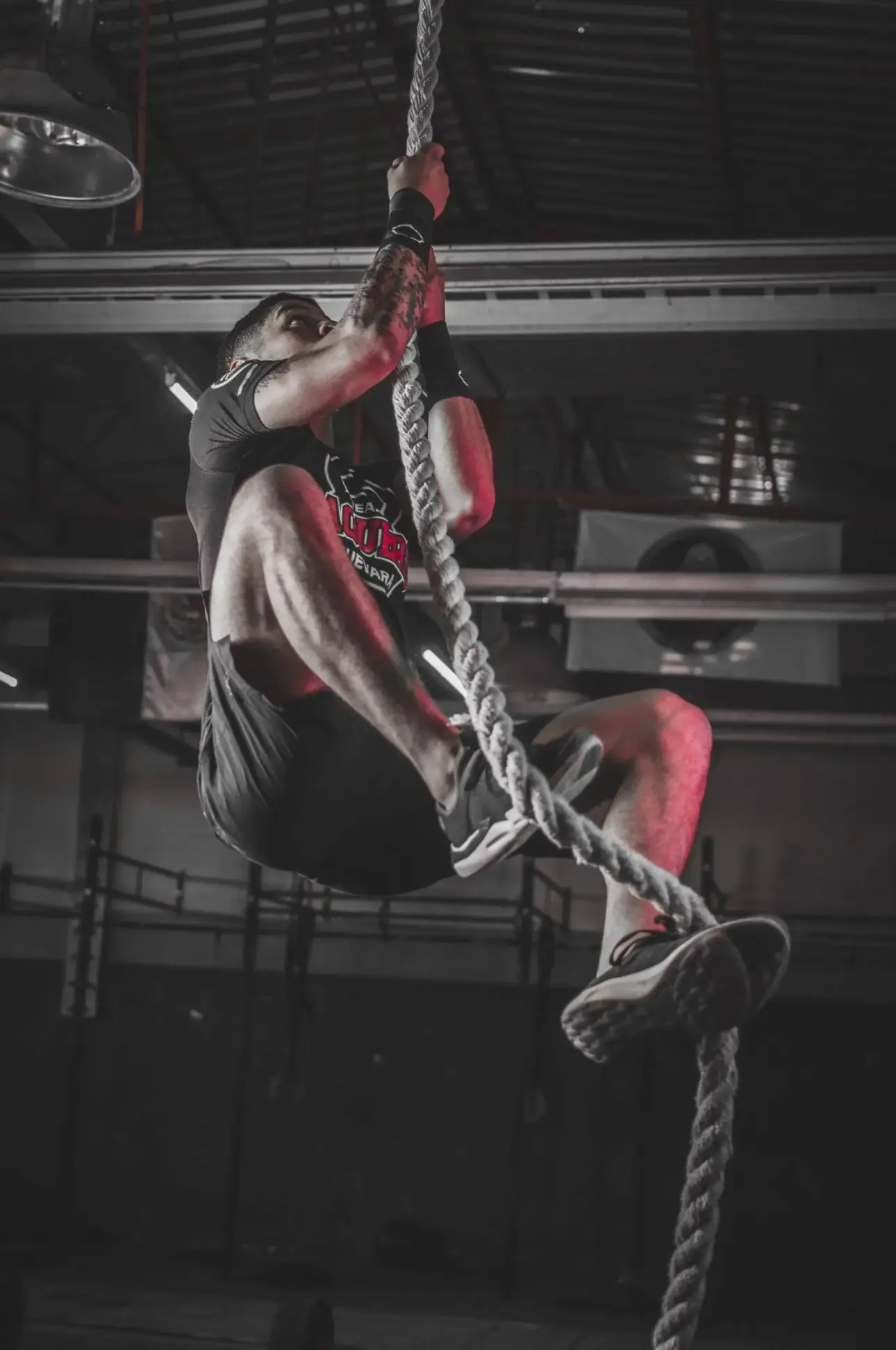 Expert guides on professional fitness equipment