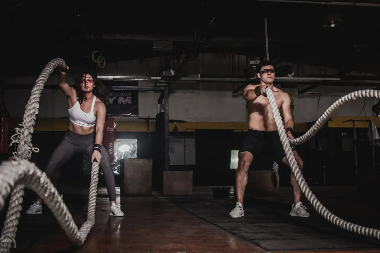 Expert guides on professional fitness equipment