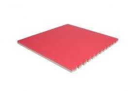 dalle tatami dojo 40mm pour arts martiaux