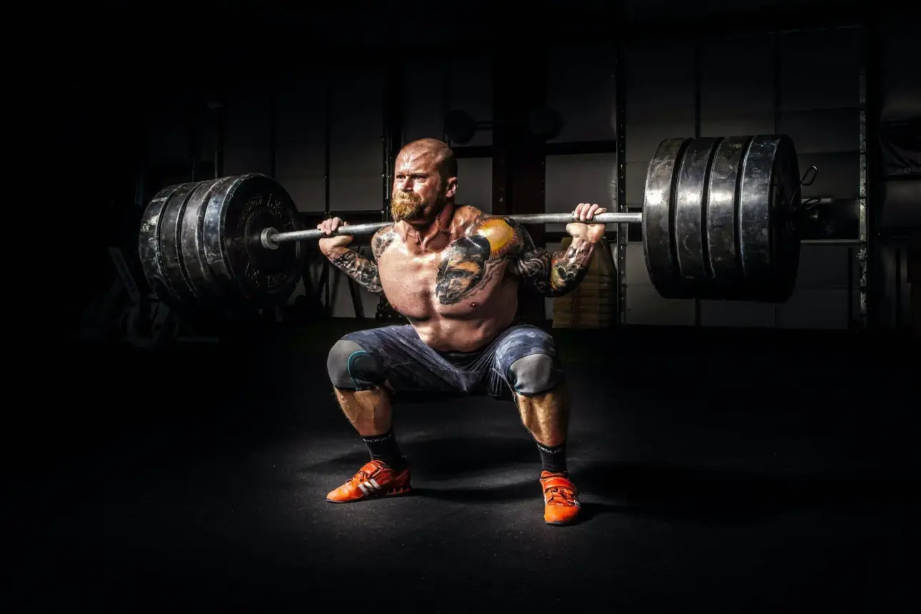 Expert guides on professional fitness equipment