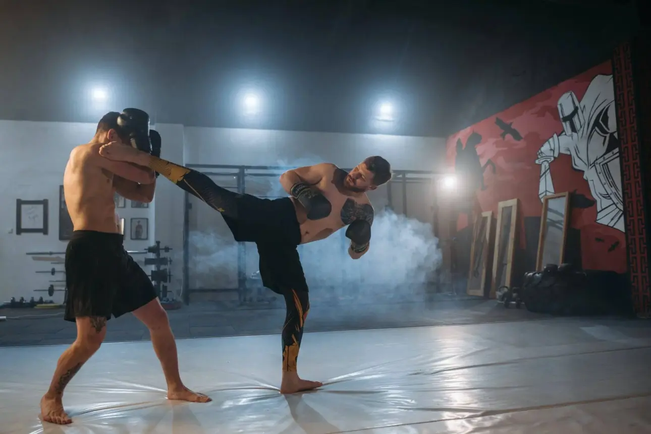 Expert guides on professional fitness equipment