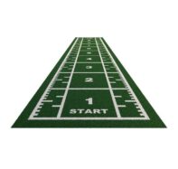 gazon synthétique crossfit 10m x 2m vert (poils courts)