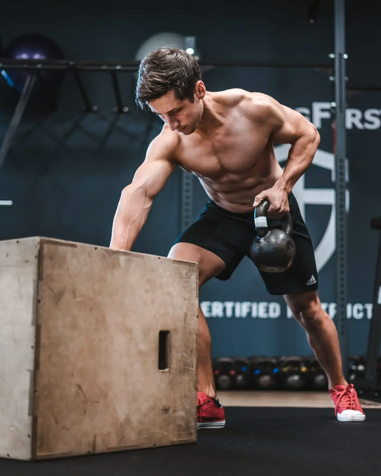 Expert guides on professional fitness equipment