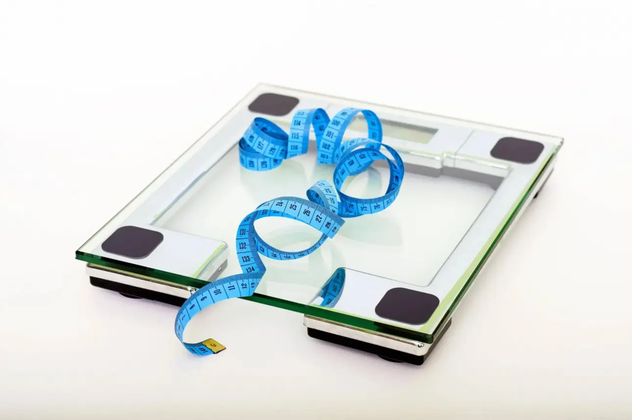 Expert guides on professional fitness equipment