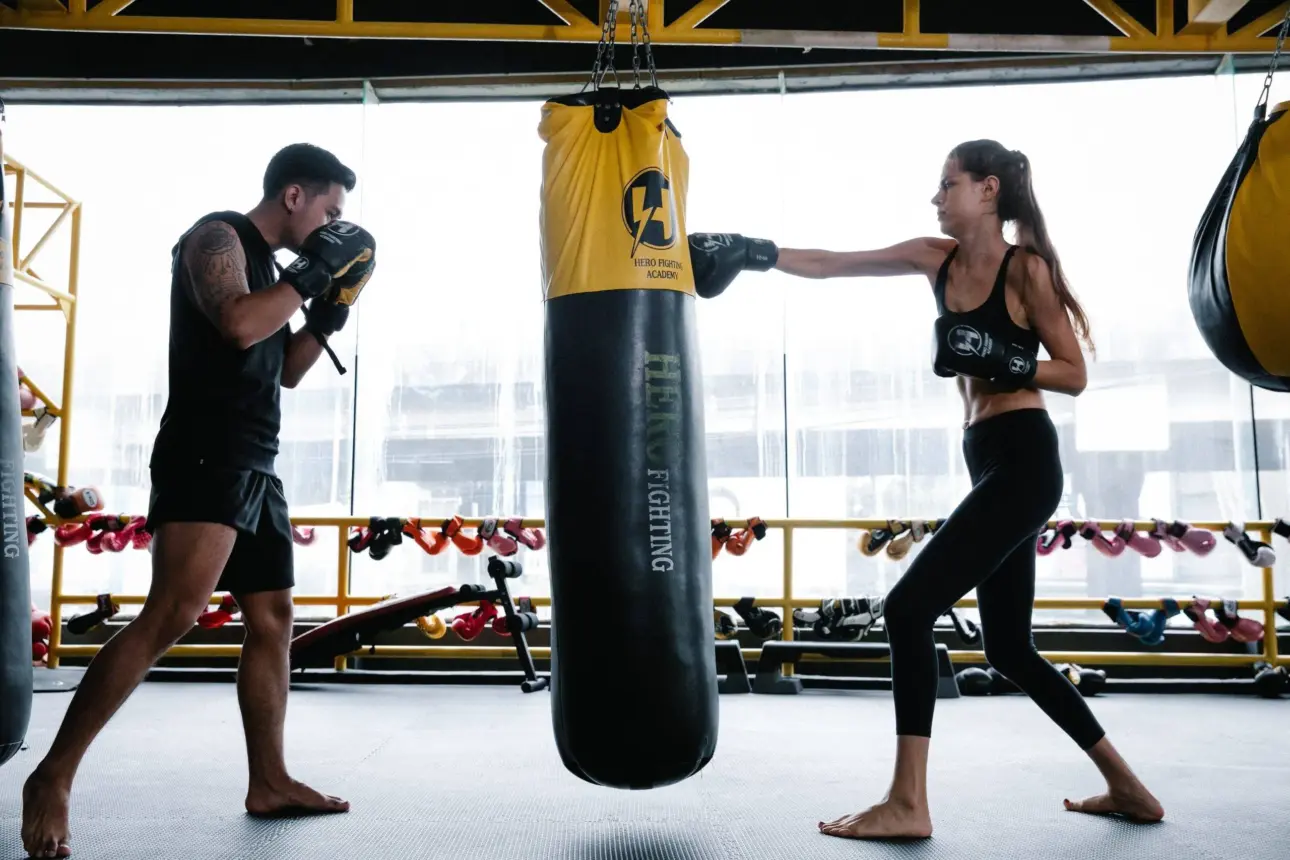 Expert guides on professional fitness equipment