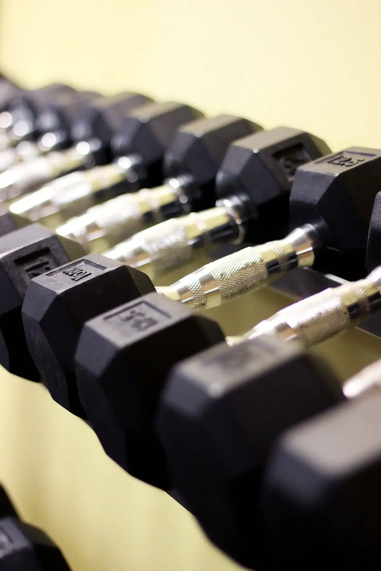 Expert guides on professional fitness equipment