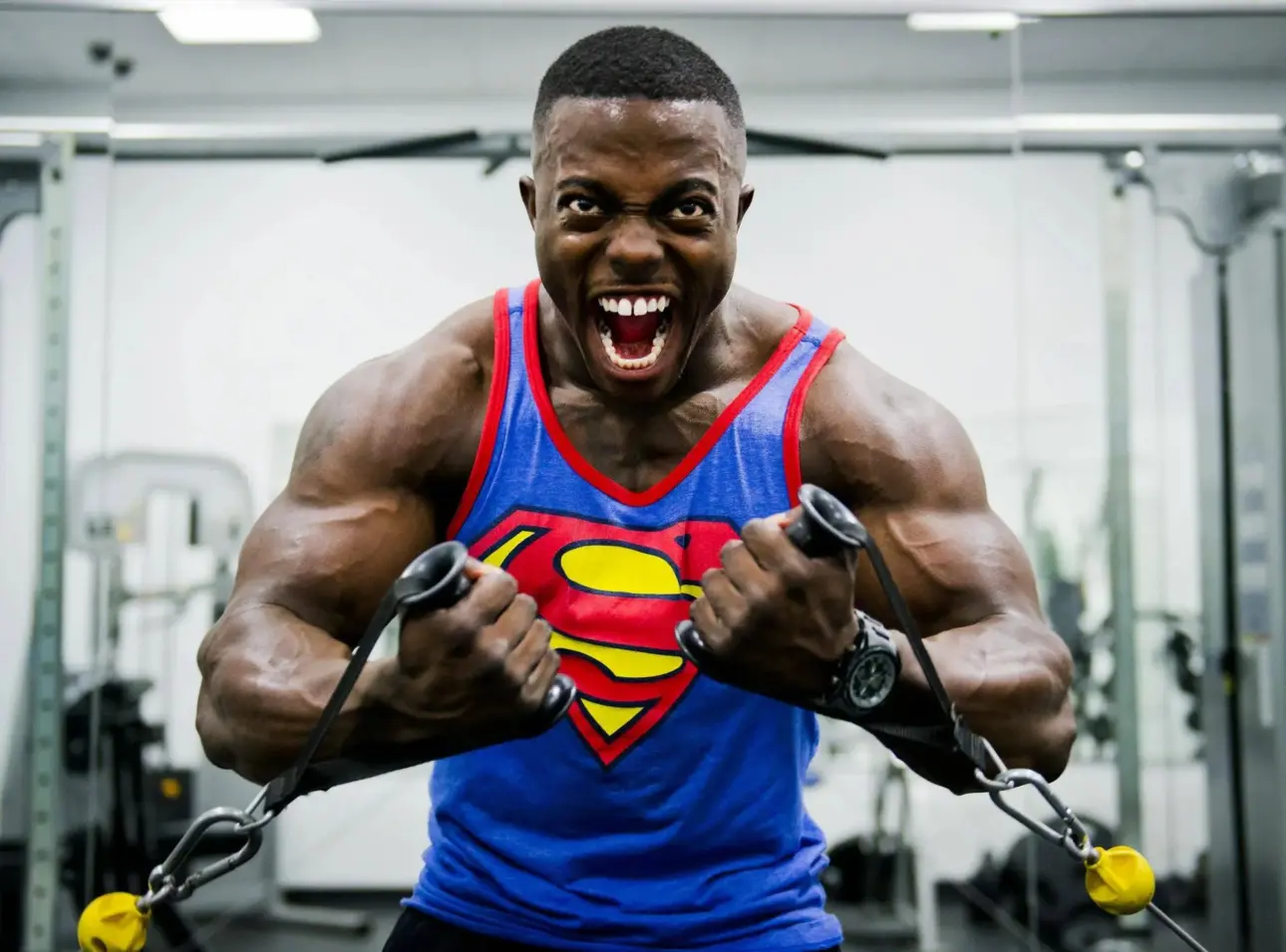 Expert guides on professional fitness equipment