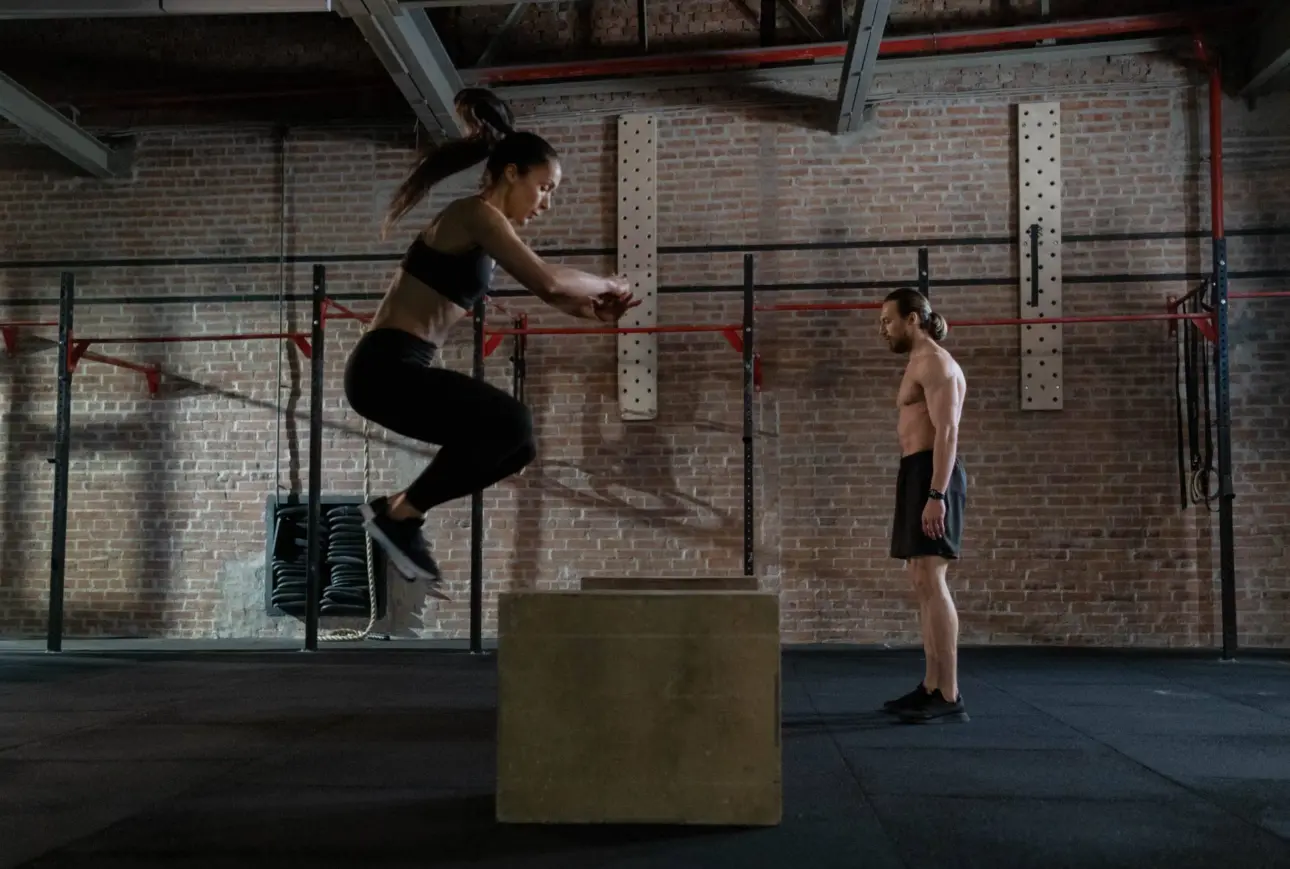 Expert guides on professional fitness equipment