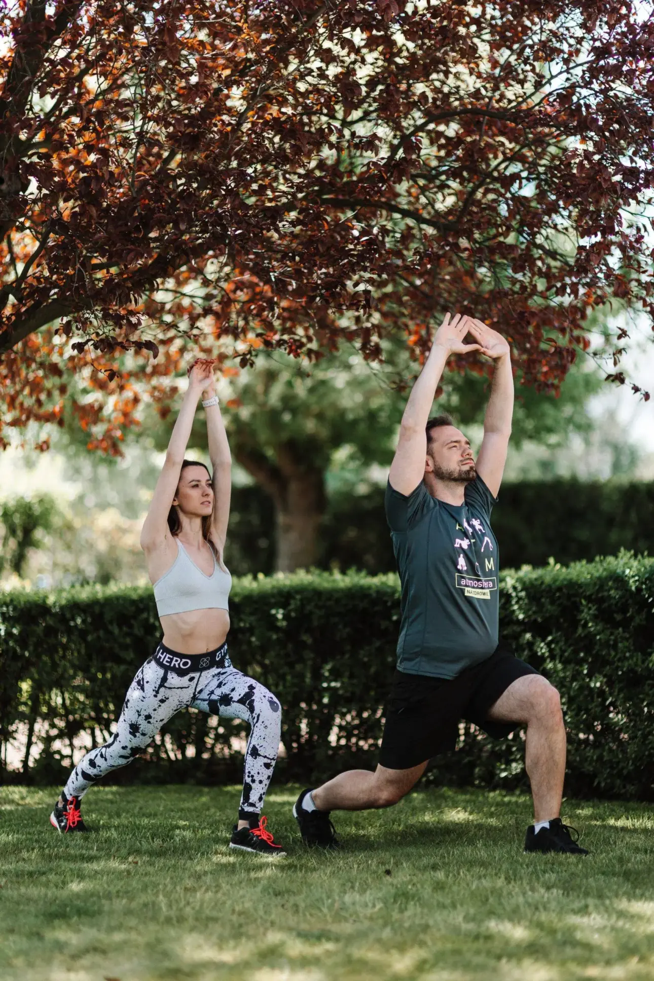 Expert guides on professional fitness equipment