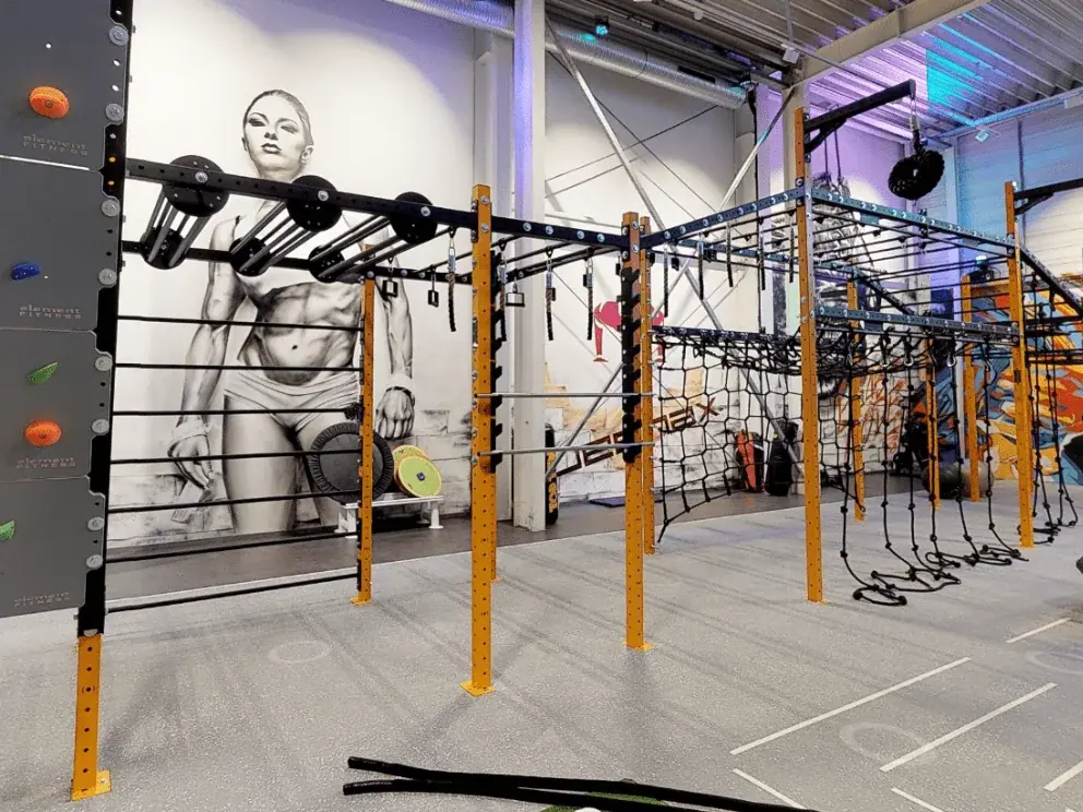 Expert guides on professional fitness equipment