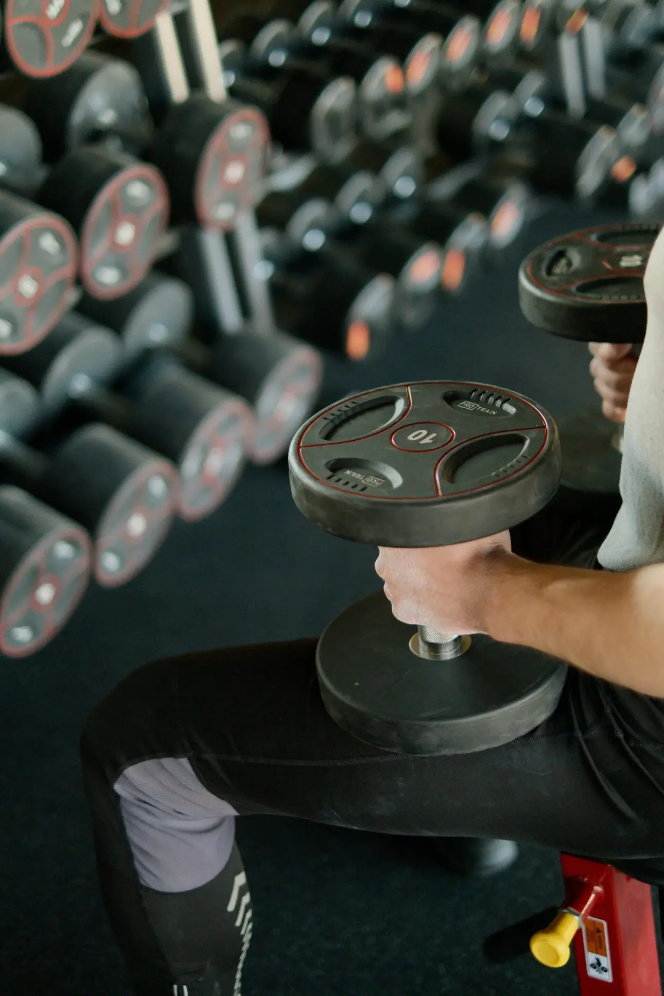Expert guides on professional fitness equipment