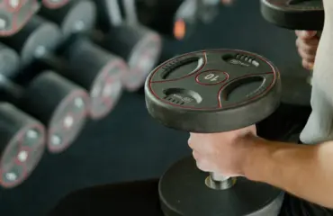 acheter le meilleur matériel de musculation guide complet pour les débutants. acheter le meilleur matériel de musculation guide complet pour les débutants.