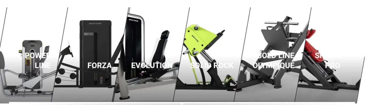 Expert guides on professional fitness equipment