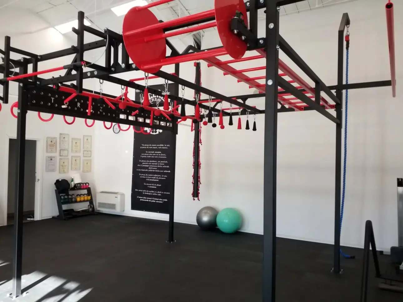 Expert guides on professional fitness equipment