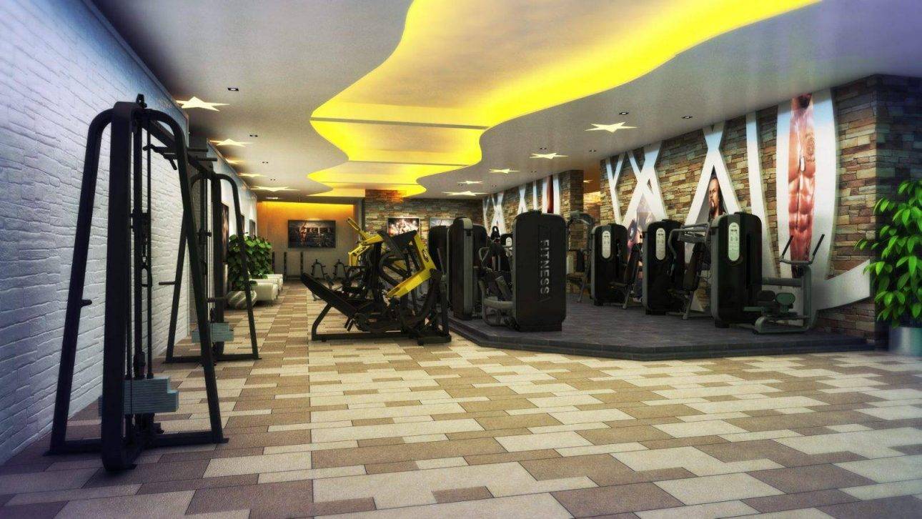 optez pour le meilleur matériel de musculation chez light in fitness