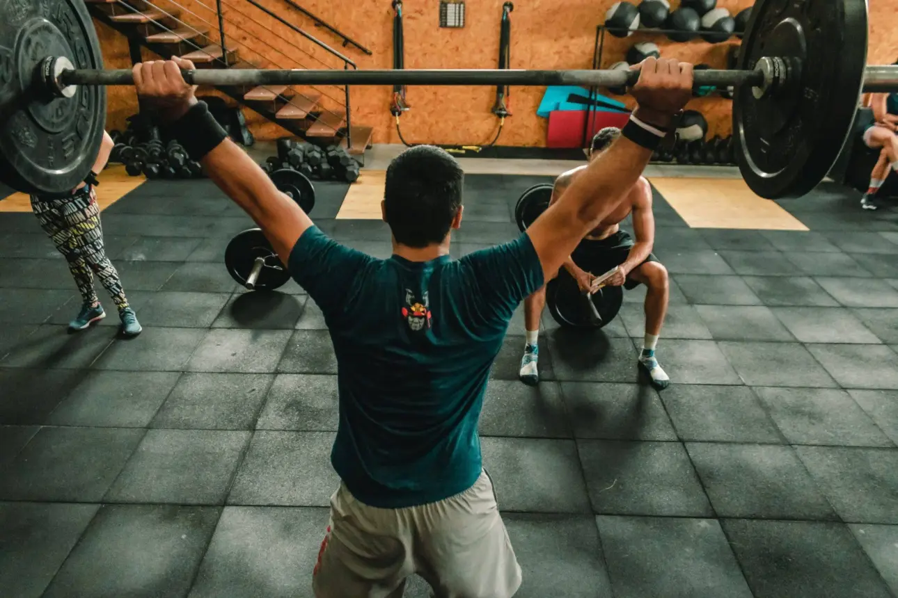 Expert guides on professional fitness equipment