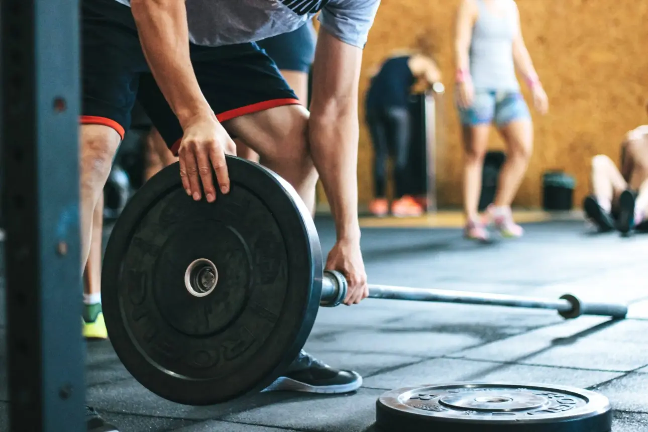 qu’est ce qui inhibe la croissance musculaire myostatine et muscles
