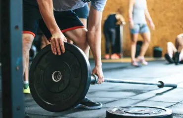 qu’est ce qui inhibe la croissance musculaire myostatine et muscles qu’est ce qui inhibe la croissance musculaire myostatine et muscles