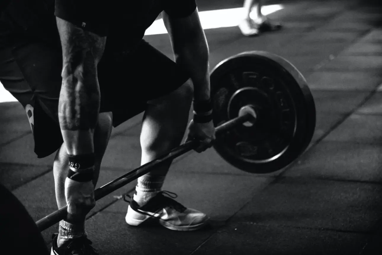 Expert guides on professional fitness equipment