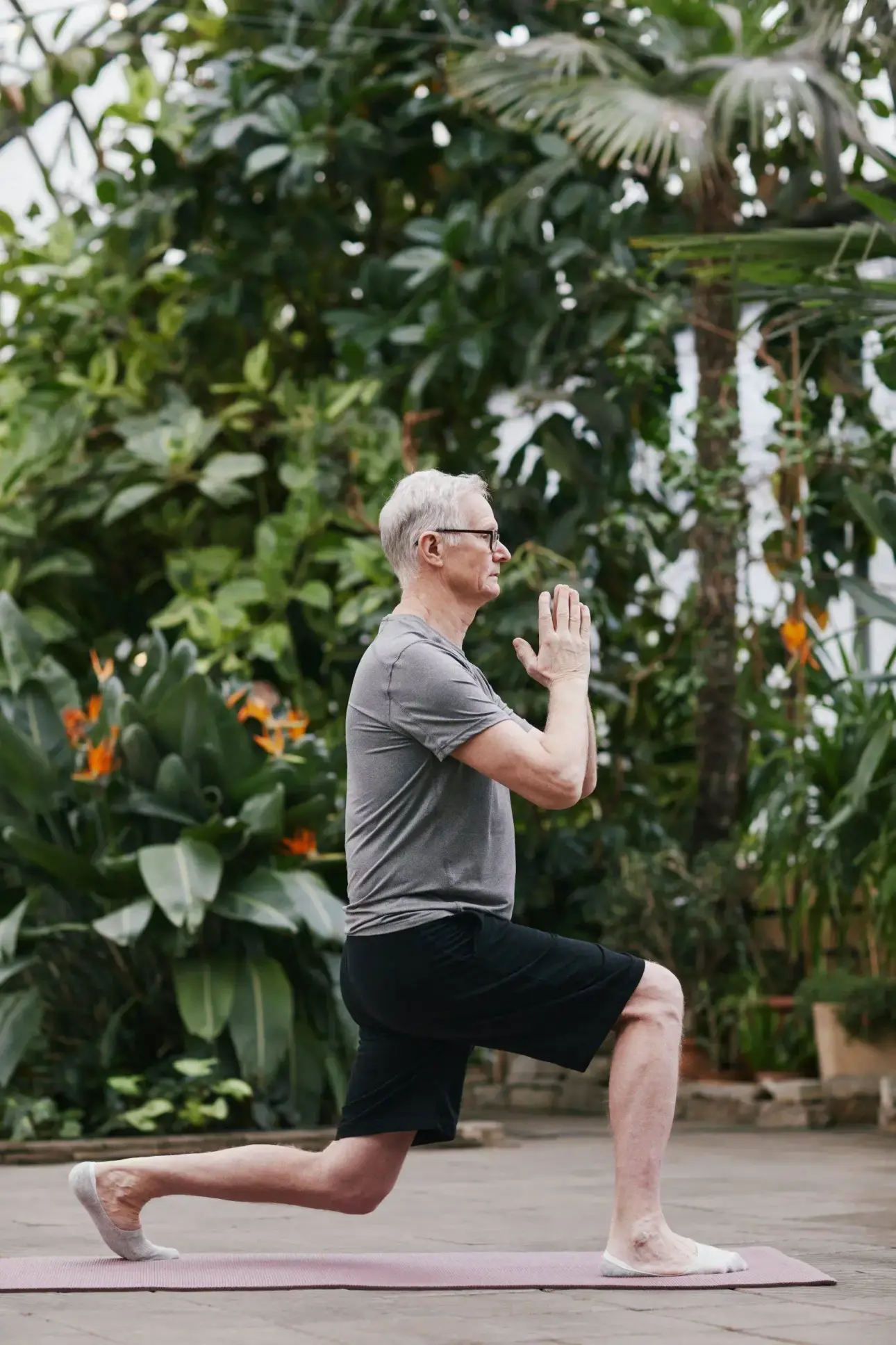 Expert guides on professional fitness equipment