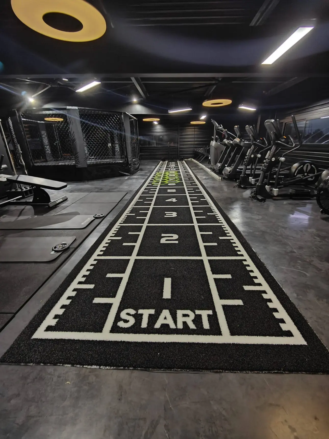 Expert guides on professional fitness equipment