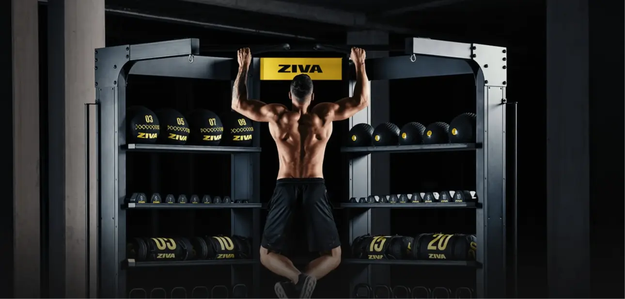 Expert guides on professional fitness equipment