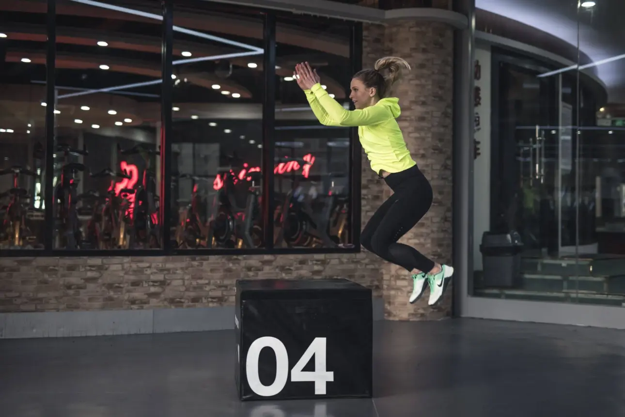 Expert guides on professional fitness equipment
