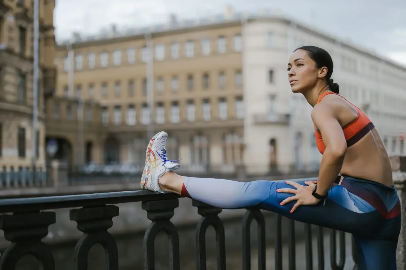 Expert guides on professional fitness equipment