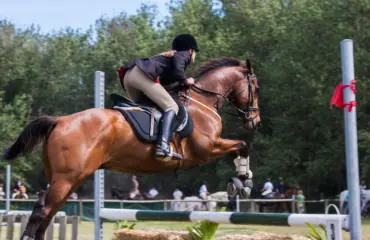 comment se muscler pour l équitation comment se muscler pour l équitation