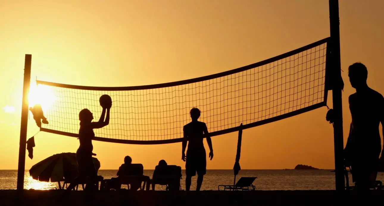 Expert guides on professional fitness equipment