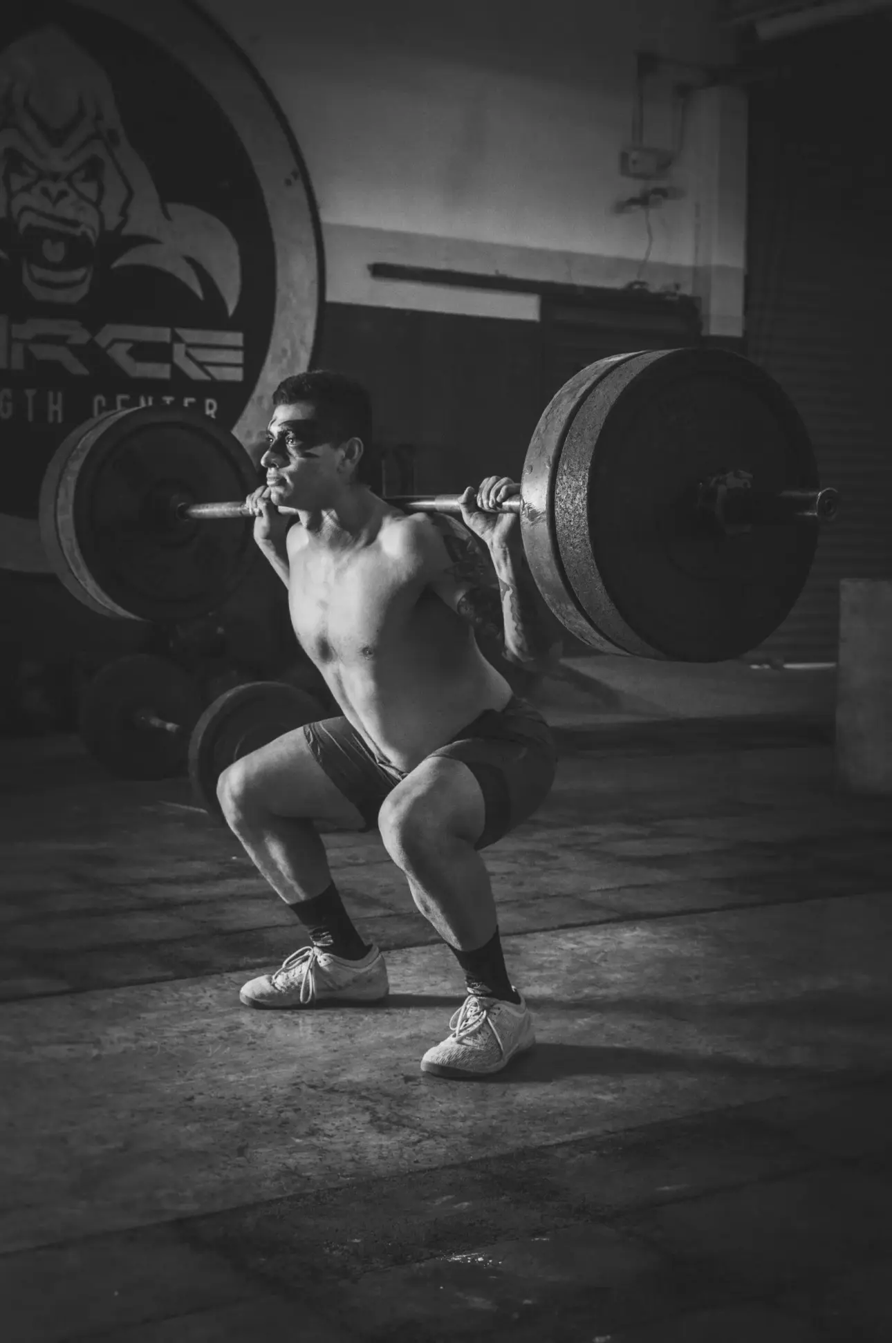 Expert guides on professional fitness equipment
