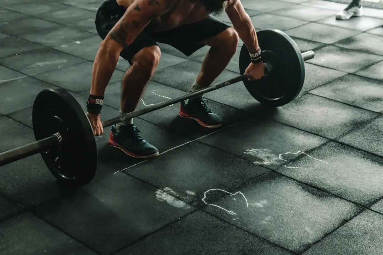 Expert guides on professional fitness equipment