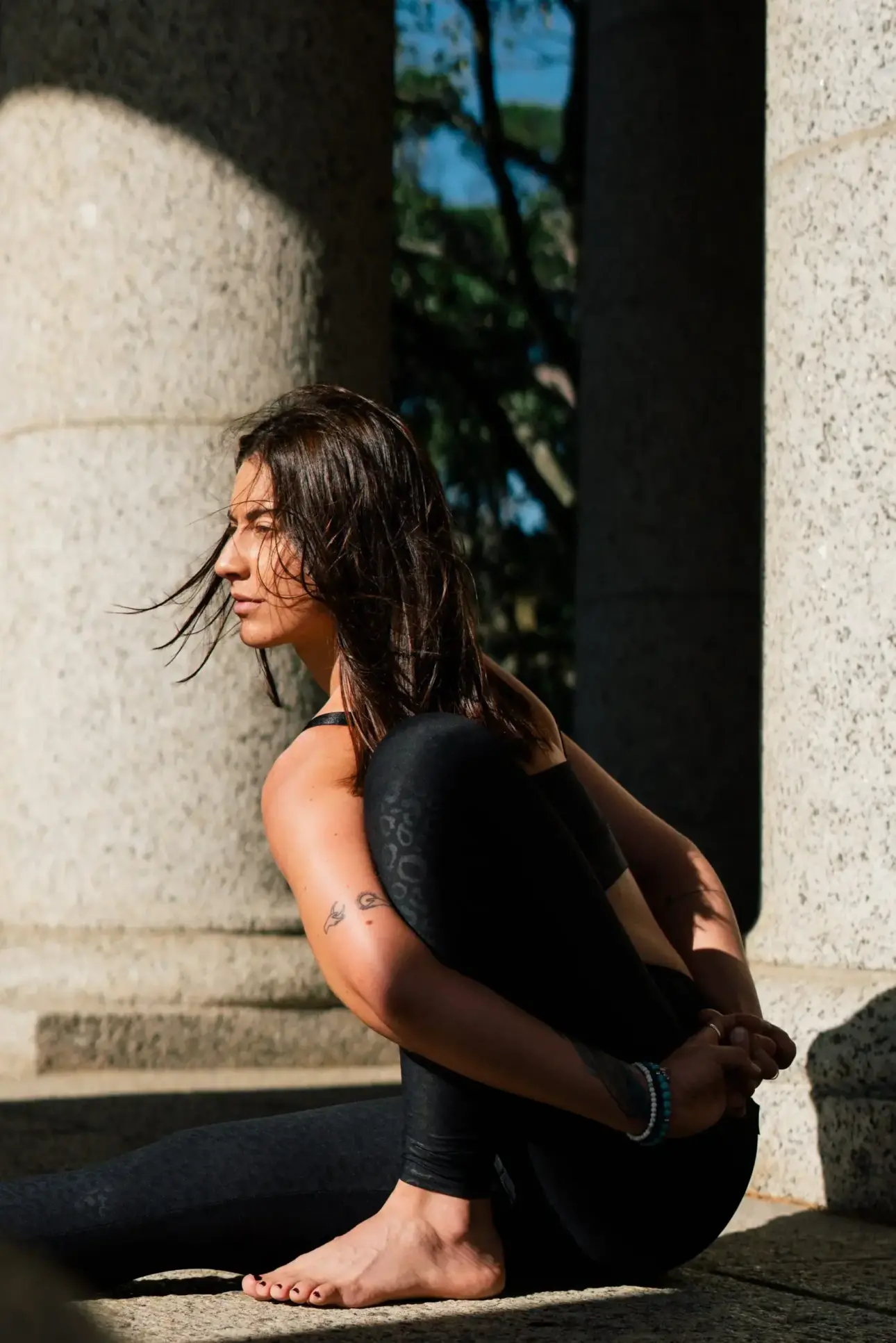 Expert guides on professional fitness equipment