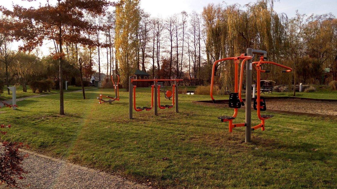 la structure sport santé professionnelle la clé d'une vie équilibrée