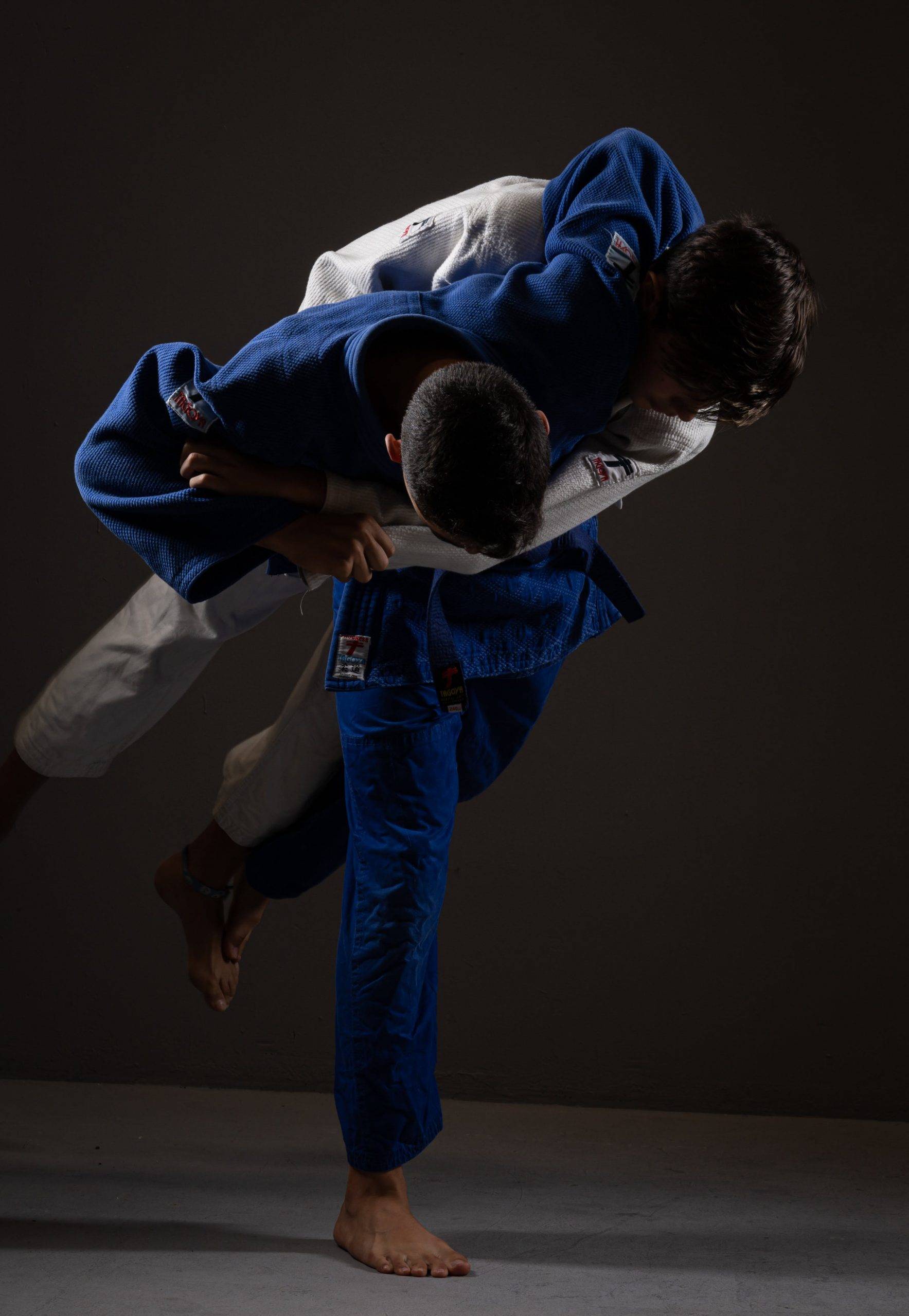le puzzle tatami judo un atout indispensable pour votre dojo
