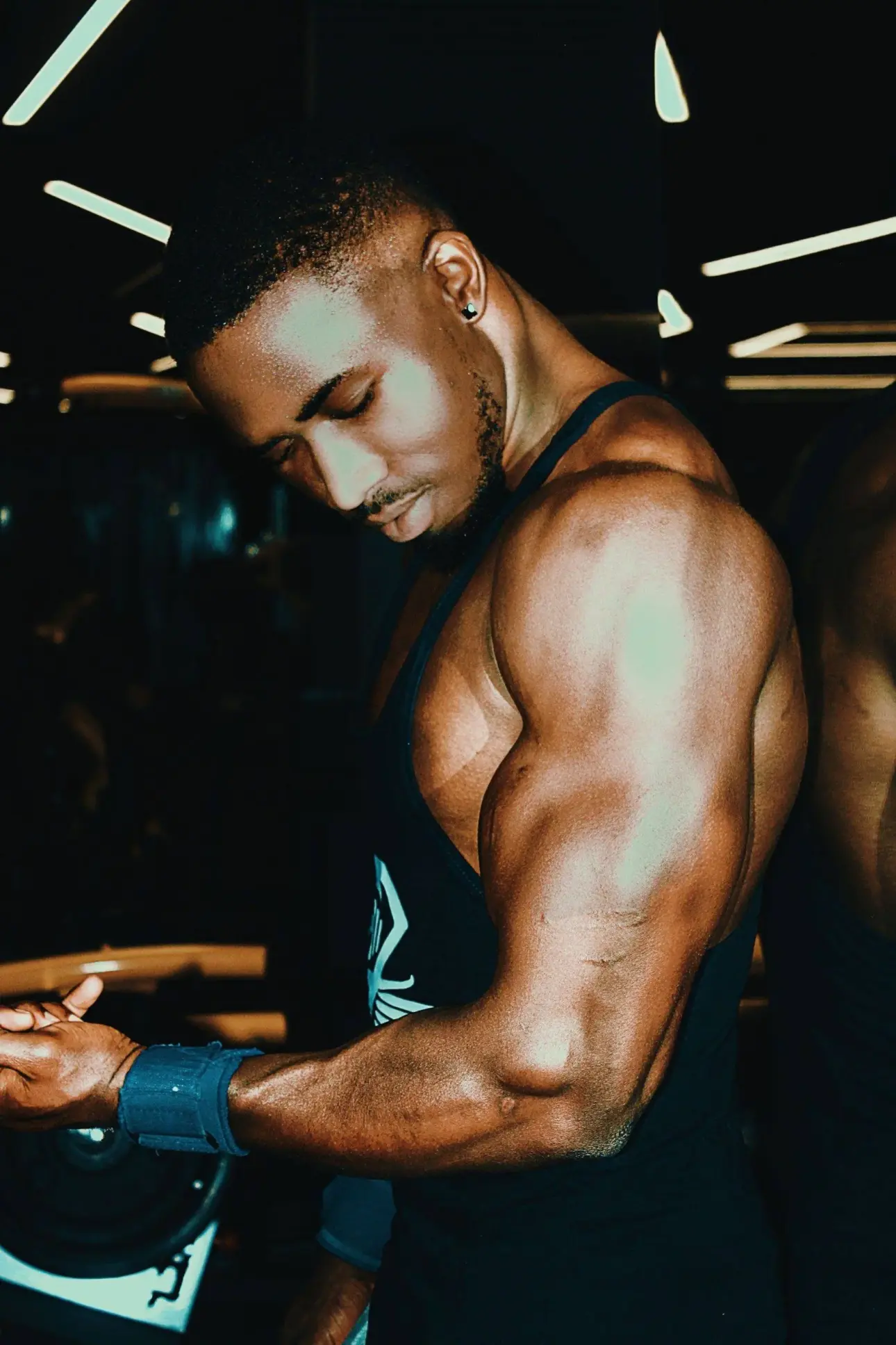 Expert guides on professional fitness equipment