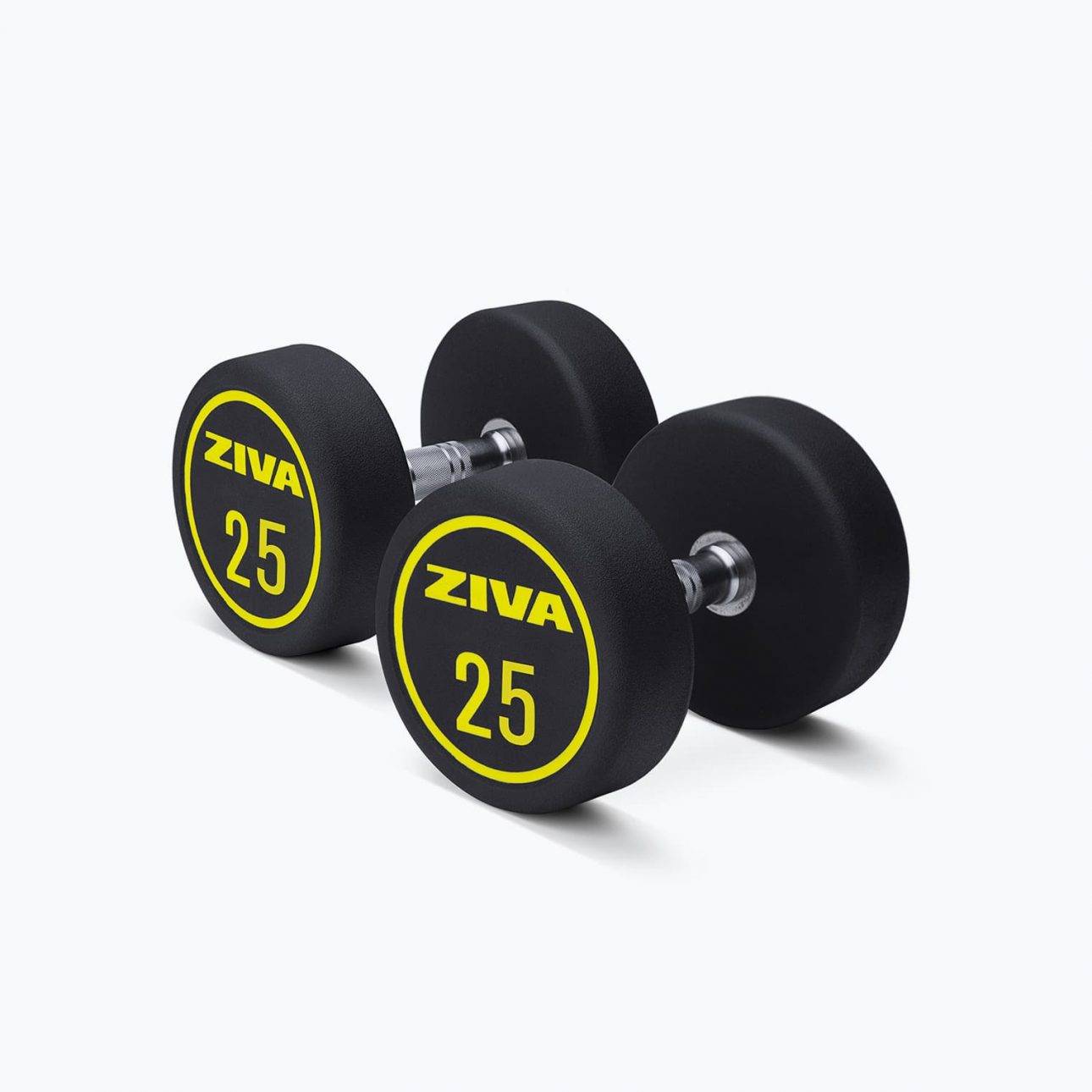 quelle haltère choisir