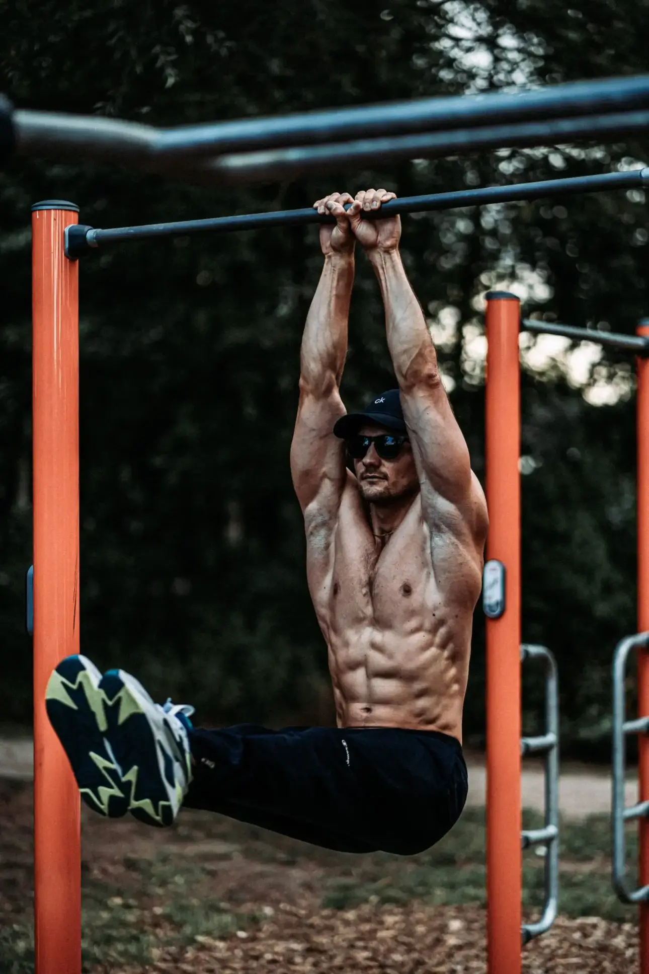 Expert guides on professional fitness equipment