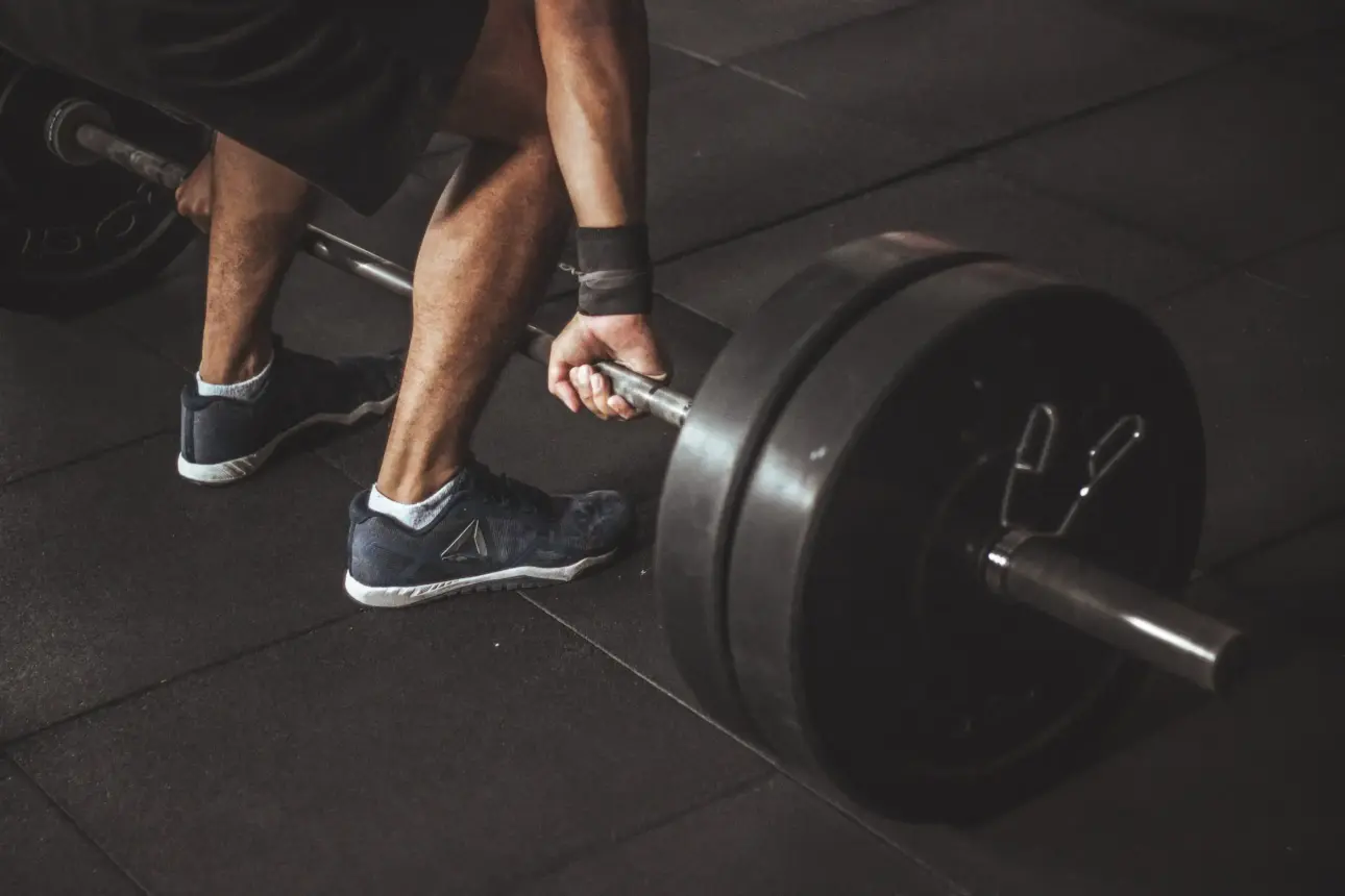 Expert guides on professional fitness equipment