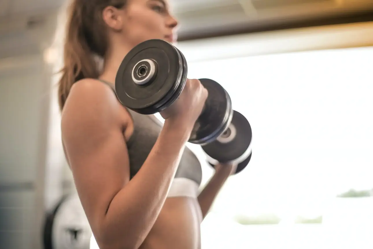 Expert guides on professional fitness equipment