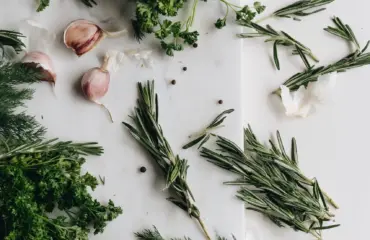 aliments médicaments une approche holistique pour une santé optimale